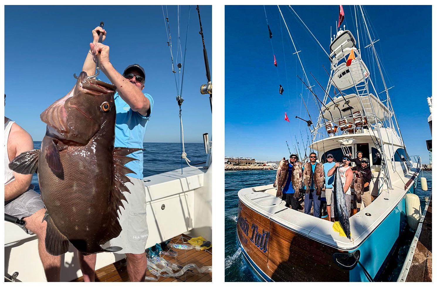 January Baja Fishing Report Discover Baja Travel Club