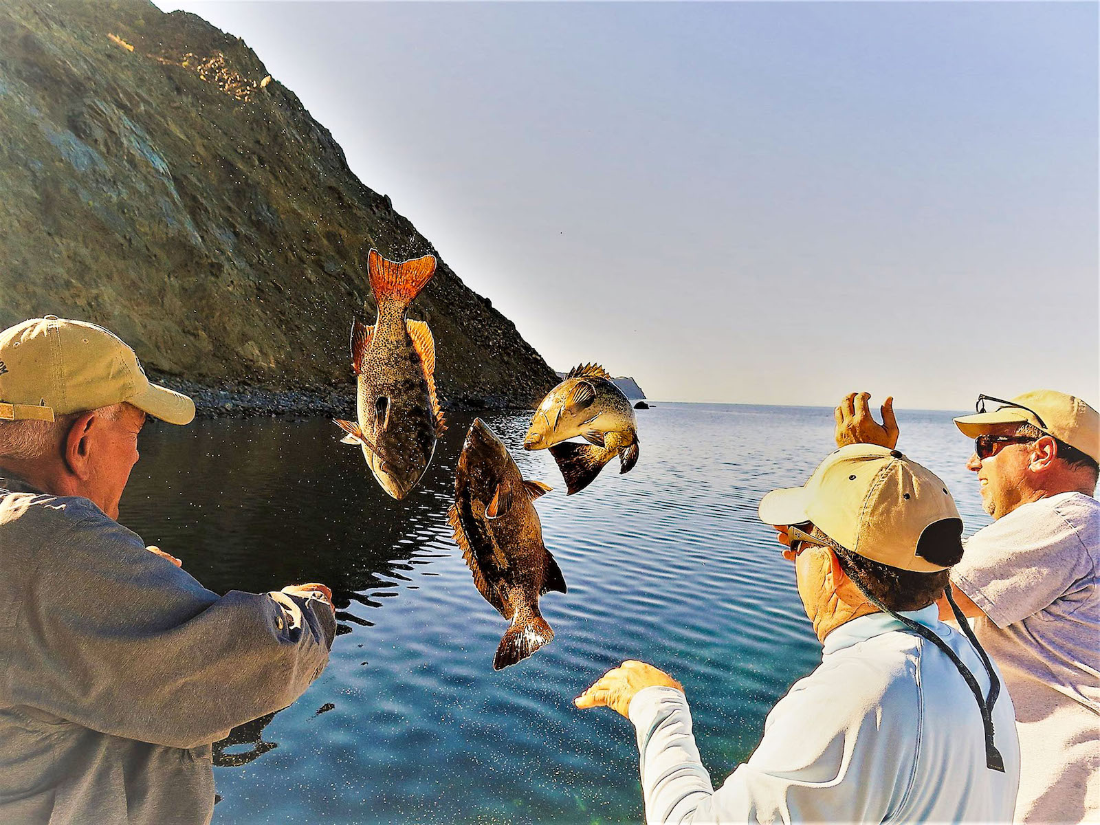 November 2022 Baja Fishing Report - Discover Baja Travel Club