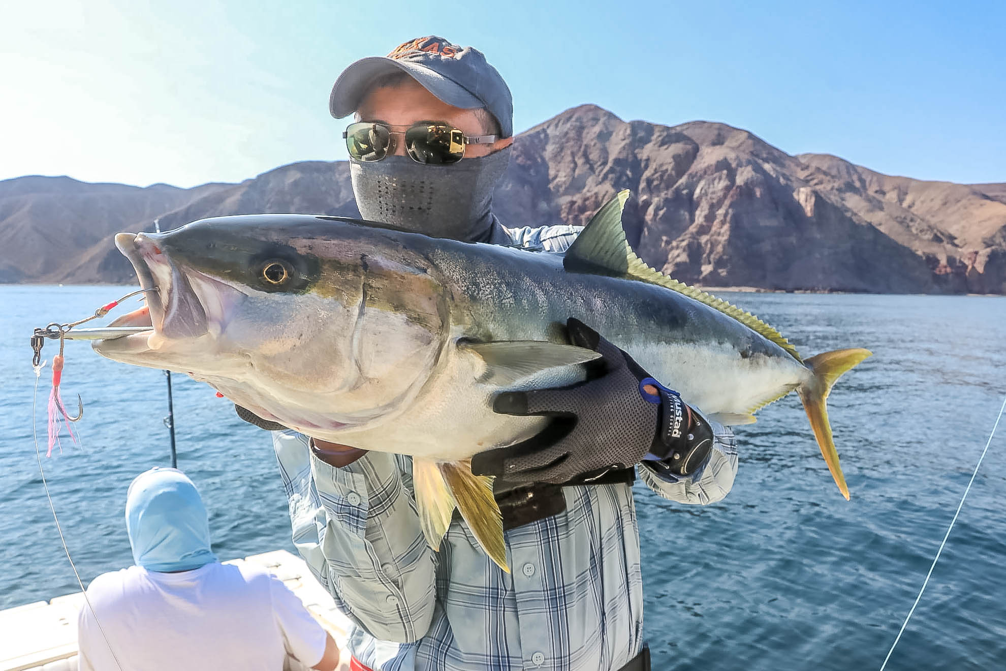 A Simple Guide to Fishing in Cabo San Lucas – Tag Cabo Sportfishing