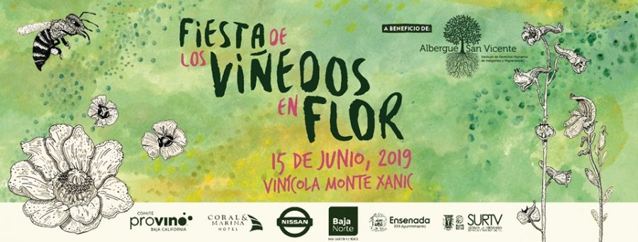 Fiesta De Los Vi Edos En Flor Archives Discover Baja Travel Club