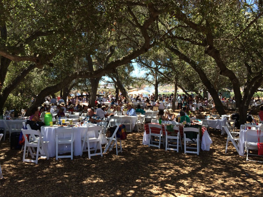 Concurso de Paella, Valle de Guadalupe