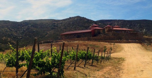 las nubes winery valle de guadalupe