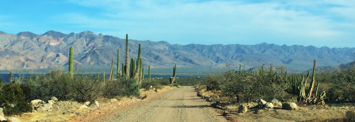 Baja Road - Discover Baja Travel Club