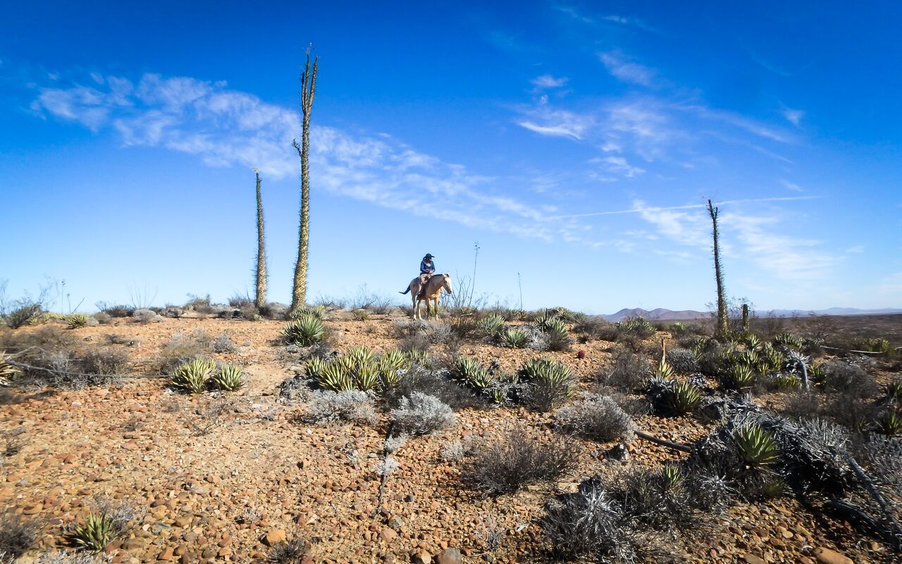 DAY 42 – Pueblo Viejo to Mission San Fernando 56 - Chiquis - Cerro San ...