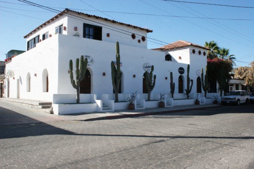 Ask a local Todos Santos Baja California - www.discoverbaja.com