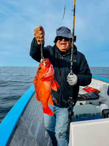 Nomad Madmacs Bluefin Tuna Fishing  Ensenada Mexico Northern Baja  California Spring 2023 SDFS 