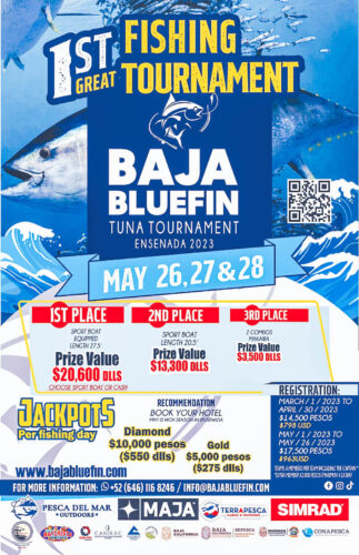 Nomad Madmacs Bluefin Tuna Fishing  Ensenada Mexico Northern Baja  California Spring 2023 SDFS 