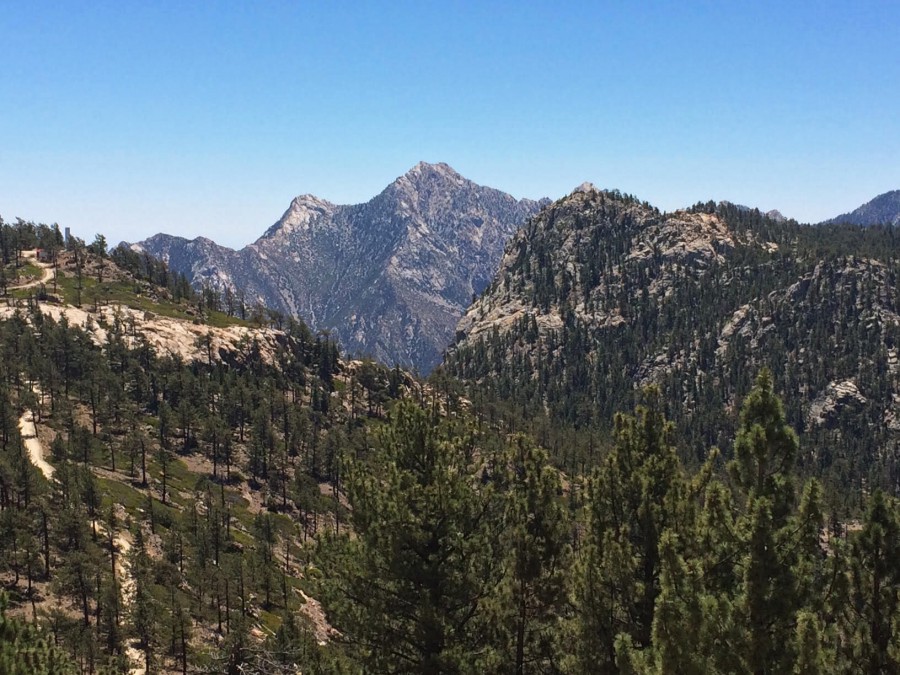 Complete Guide to Baja's Sierra de San Pedro Mártir