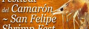 san felipe shrimp fest