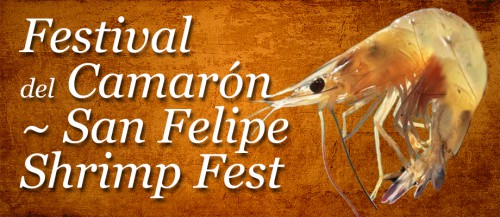 san felipe shrimp festival